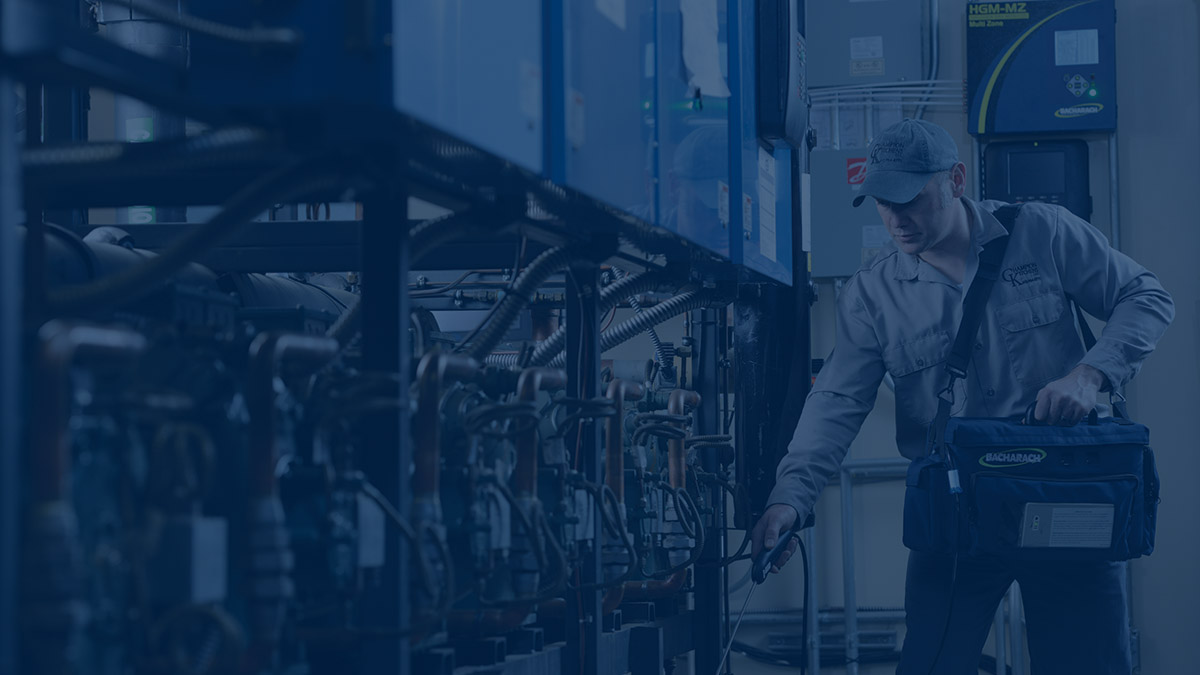 Bacharach Pioneers Graphic