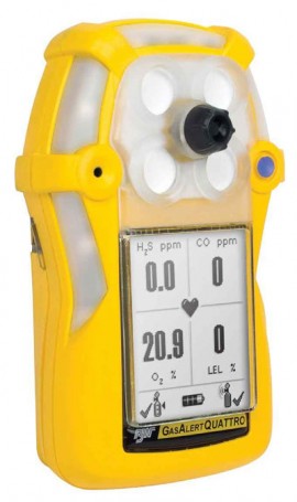 BW QT-AF-K1 Auxiliary Filter LCD Protector for GasAlertQuattro, Includes 5 Filters-